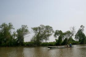 Mangrove, Pemandangan Hadirnya Alam yang Layak Dirasakan. Oleh kita semua.